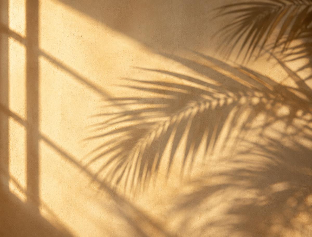 Warm sunlight casting palm shadows on a cream wall